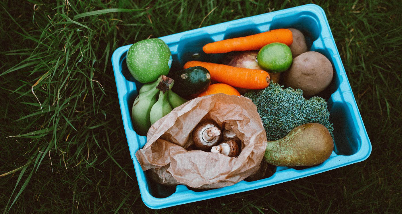 Bay Area healthy sustainable school lunch - My Green Lunch - free delivery